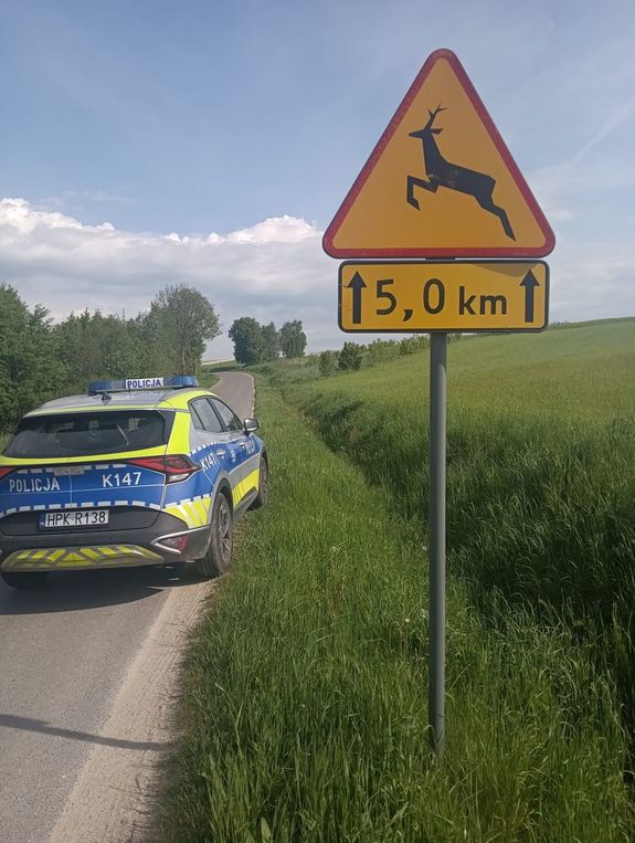 Na zdjęciu znak A18-b „Uwaga dzikie zwierzęta”, za nim policyjny radiowóz. w tel pola uprawne.