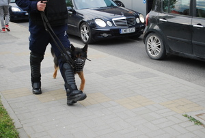 Na zdjęciu pies służbowy prowadzony na smycz przez policjanta przewodnika.