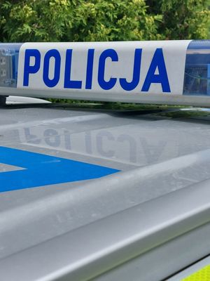 Na zdjęciu belka policyjnego radiowozu z napisem policja. W tel liście drzew.