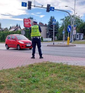 Na zdjęciu umundurowany policjant ruchu drogowego z ręcznym miernikiem prędkości, w rejonie skrzyżowania ze sygnalizacją świetlną. Na jezdni samochody.