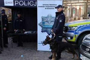 Na zdjęciu umundurowany policjant przewodnik psa wraz z psem służbowym, obok stoiska profilaktycznego policji.