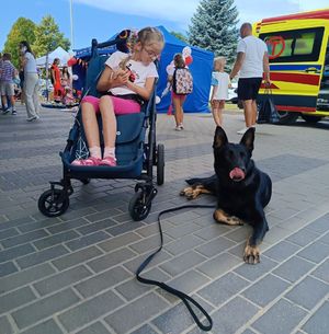 Na zdjęciu na wózku inwalidzkim siedzi dziewczynka, patrzy w stronę policyjnego psa, który leży obok niej.