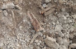 Na zdjęciu wykopane pociski artyleryjskie z czasów II wojny światowej.
