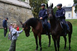 Na zdjęciu dwa policyjne konie służbowe, na których siedzą umundurowani policjanci. Dziewczynka dotyka jednego z koni.