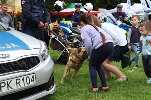 Na zdjęciu policyjny radiowóz, policyjny pies którego głaskają dzieci i policyjne motory z policjantami.