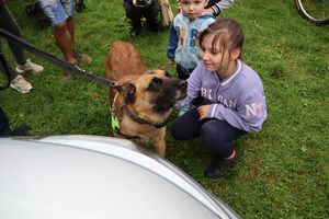 Na zdjęciu policyjny pies którego głaszcze dziewczynka.