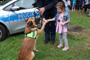 Na zdjęciu policyjny pies podaje łapę dziewczynce, obok policjant.