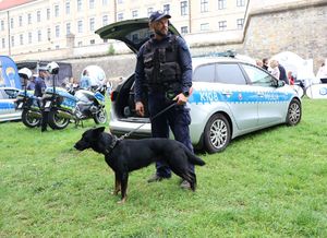 Na zdjęciu umundurowany policjant trzyma na smyczy psa, za nimi policyjny radiowóz.