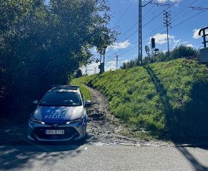 Na zdjęciu policyjny radiowóz, w tle wiadukt kolejowy i tory.