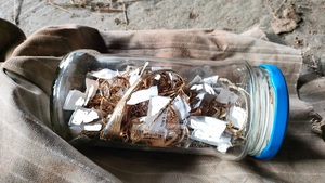 Na zdjeciu w słoiku biżuteria koloru żółtego.