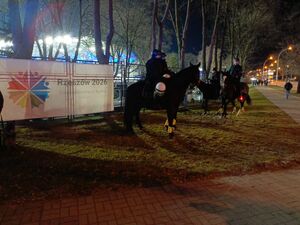 Zdjęcie z zabezpieczenia meczu Stali Rzeszów z Ruchem Chorzów.