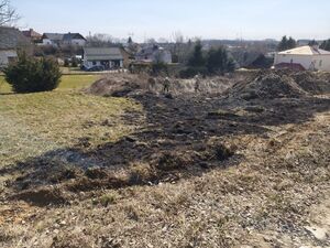 Na zdjęciu wypalona trawa.