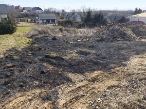 Na zdjęciu wypalona trawa.