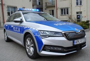 Na zdjęciu policyjny radiowóz.