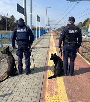 Na zdjeciu dwóch umundurowanych policjantów z psami służbowymi.