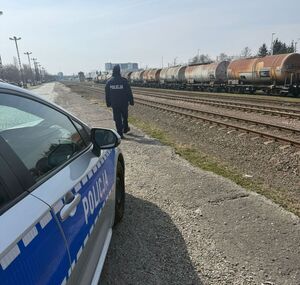 Na zdjeciu umundurowana policjantka, obok radiowóz.