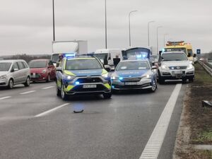 Na zdjęciu policyjne radiowozy na zdarzeniu drogowym na S19.