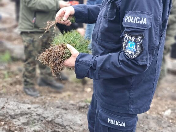 Na zdjęciu Komendant Komisariatu Policji w Głogowie Małopolskim trzymający w ręku sadzonki drzewek.