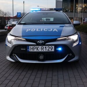 Na zdjeciu policyjny radiowóz.